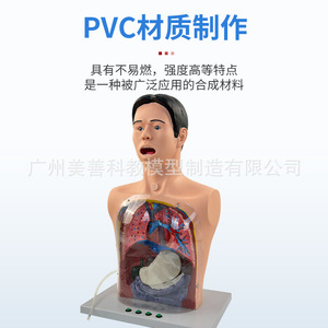 Modèle de lavage gastrique humain, modèle transparent du mécanisme de lavage gastrique avec signes d'avertissement, décompression gastro-intestinale - Product Image 1