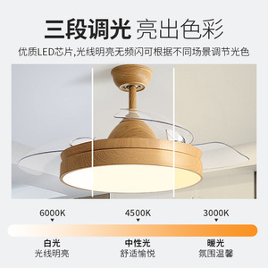 Invisible <b>Ceiling</b> <b>Fan</b> Light Led 10-15 Sqm Living Room Bedroom Smart <b>Fan</b> Chandelier - Product Image 5