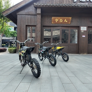 2026 Youth Motorcycle Offroad Pitbike Adjustable Suspension Racing Motocross Yellow - Product Image 2