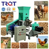 Ligne de production d'extrusion d'aliments pour poissons entièrement automatique, extrudeuse d'aliments aquatiques à double vis, machine de fabrication d'aliments pour animaux de compagnie