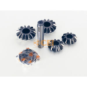 Kit di Riparazione, Componenti del Differenziale Adatti per DAF 298.876 - Product Image 1