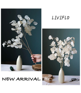 Fleur séchée naturelle Lunaria pour la décoration intérieure - Product Image 5