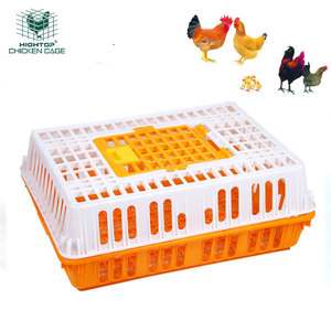 Large Size Chicken Crates Plastic Egg Transport Boxes Poultry Crates Transport Boxes For Live Chicken