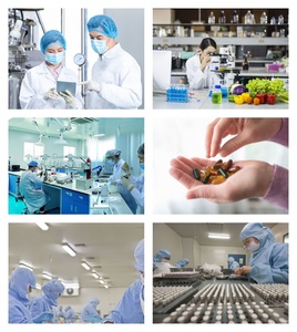 Usine GMP OEM Marque Privée 15 en 1 Capsules de Magnésium Complément Naturel de Glycinate de Magnésium pour le Sommeil et la Santé Musculaire des Adultes - Product Image 5