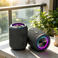 Équipement audio sans fil IPX7 5.3, étanche, éclairage LED RGB, enceinte portable