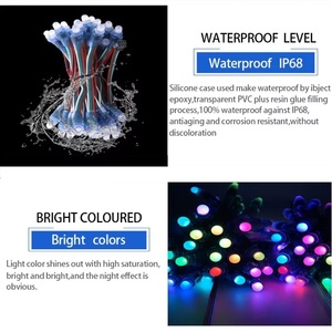 IP68 personnalisé DC5V 12V 9mm 12mm WS2811 <span class=keywords><strong>Dmx</strong></span> <span class=keywords><strong>Led</strong></span> <span class=keywords><strong>Pixel</strong></span> Light <span class=keywords><strong>RGB</strong></span> RGBW Modules <span class=keywords><strong>LED</strong></span> étanches - Product Image 5