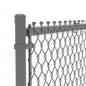 Clôture en treillis métallique galvanisé et revêtu de PVC durable pour la sécurité de la maison, des limites et des allées - Product Image 2