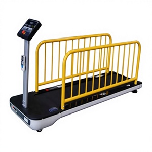 5HP 전기 강아지 트레드밀 스틸 애완견 러닝머신 판매 방수 스틸 강아지 어질리티 훈련 장비 - Product Image 5