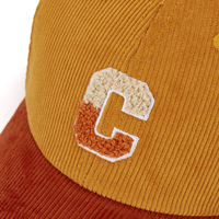 Muestra Gratis, Nueva Gorra de Béisbol Infantil de Pana de 6 Paneles con Logotipo Bordado, para Primavera/Verano, Deportes, Pesca y Actividades al Aire Libre