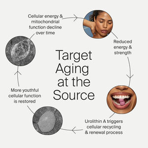 BioFlex OEM Label pribadi <span class=keywords><strong>Natural</strong></span> 500mg Urolithin a Gummies suplemen mendukung sistem pertahanan antioksidan dan penuaan kulit sehat - Product Image 5