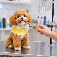 Peigne à poils pour animaux de compagnie en bois, manche naturel, dents en acier fin, couteau de toilettage, outil de démêlage pour chiens et chats, professionnel