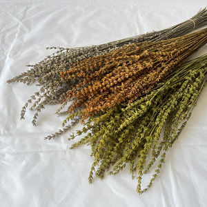 Flores decorativas al por mayor <span class=keywords><strong>lavanda</strong></span> real baratas <span class=keywords><strong>comprar</strong></span> decoración del hogar <span class=keywords><strong>lavanda</strong></span> seca a granel - Product Image 5