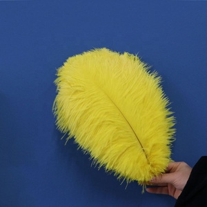 Plumes d'Autruche Grandes, Teintes, Multicolores, Lisses et Moelleuses <span class=keywords><strong>de</strong></span> Haute Qualité 30-35 cm en Gros - Product Image 5