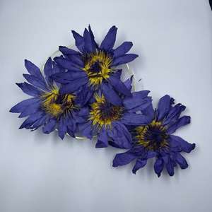 Çay ve Dekorasyon İçin Mavi Lotus Çiçeği Lan Lian Hua Bütün Çiçek - Product Image 2