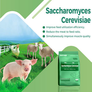 กรดอะมิโนเกรดฟีดยีสต์ผลิตในมณฑลเหอเป่ยประเทศจีนสำหรับอาหารสัตว์ - Product Image 3