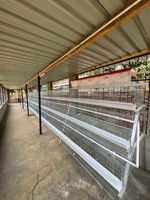 Cages à batterie pour poulets pondeuses à 3 niveaux, cages à poules pondeuses de type A galvanisées pour ferme avicole, pour 10 000 oiseaux