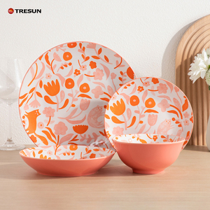 Vajilla de porcelana TRESUN 2026, nuevo diseño personalizado, venta directa de fábrica, venta al por mayor. - Product Image 4