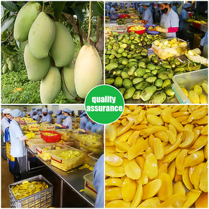 Mango Deshidratado al por Mayor, Refrigerios de Frutas y Verduras de 500 g, Mango Deshidratado, Mango Seco en Rodajas, Frutos Secos, Producto de Fruta - Product Image 4