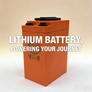 Fabrikpreis 60V 50Ah LiFePO4 Batterie, Integriertes BMS, Geeignet für 2-Rad- und 3-Rad-Elektrofahrzeuge zum Austausch - Product Image 1