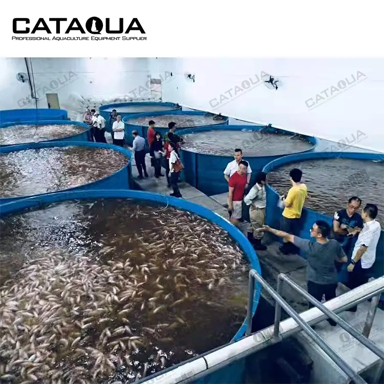 Cataqua sistema de tratamento de água para agropecuária, sistema de tratamento de aquacultura para peixes