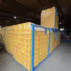 Toptan fiyat yüksek kalite tam sarımsak taze sebze satılık 100% organik saf beyaz sarımsak - Product Image 1