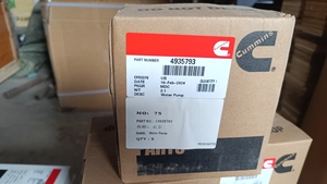 Pompe à eau Cum-minsC4935793 - Pièces de chargeuse Liugong compatibles - Pièces de machines de construction directement de l'usine - Product Image 2