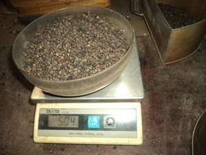 Pimienta Negra de Vietnam Más Vendida 570G/L LIMPIADA A MÁQUINA ASTA Kathryn 0084327324400 - Product Image 6