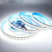 Bande LED blanche chaude 6500K double rangée 480 LED/m flexible lumière du jour réglable DC 12V 24V contrôle par application