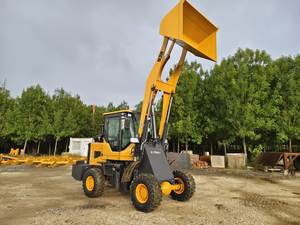 Chargeuse sur pneus compacte agricole multifonctionnelle diesel 4x4 avec <span class=keywords><strong>grappin</strong></span> à bois <span class=keywords><strong>pour</strong></span> la construction et l'ingénierie, fournie par l'usine - Product Image 2