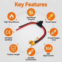 Câble de haute intensité 12AWG avec faisceau de fils en silicone et connecteurs personnalisés XT60 XT30 XT90 pour batterie LiPo RC et drone FPV