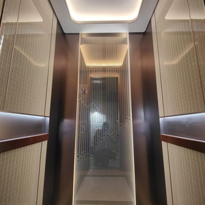 Proveedor Profesional con 12 Años de Experiencia en Ascensores Residenciales de Diseño Moderno Personalizados, con Accionamiento por Aire Acondicionado, para 3-5 Personas, para Casas Pequeñas y Villas - Product Image 3