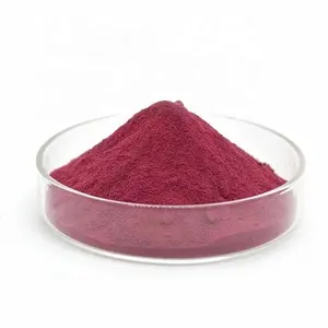 Liefern Sie 100% natürliches Purple Kale Extract Powder