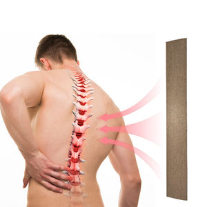 Patch anti-douleur personnalisé pour les muscles du dos et les genoux des adultes 10*75cm Patch rachidien Dragon Bones - Product Image 2