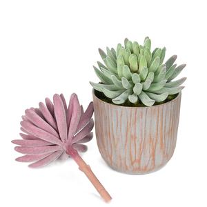 <span class=keywords><strong>Flor</strong></span> de plástico de planta <span class=keywords><strong>suculenta</strong></span> <span class=keywords><strong>Echeveria</strong></span> flocada personalizable para decoración de ventanas - Product Image 6