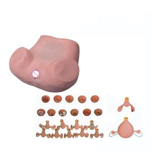 การสอนการแพทย์ Tanning ขั้นสูงหญิงนรีเวชจำลอง <span class=keywords><strong>Examination</strong></span> รุ่น - Product Image 1