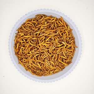 Alimento para Pequenos Animais de Alta Proteína Natural, Vermes de Pão Secos, Mealworm Seco - Product Image 2