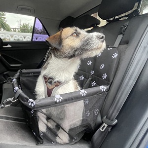 Siège auto pour chien - Protection de coffre de voiture, tissu Oxford Simoni Racing - Product Image 3