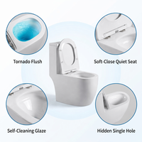 WC en céramique monobloc 4,5 L de haute qualité, chasse d'eau silencieuse Tornado, équipement sanitaire OEM ODM pour salle de bain, vente en gros
