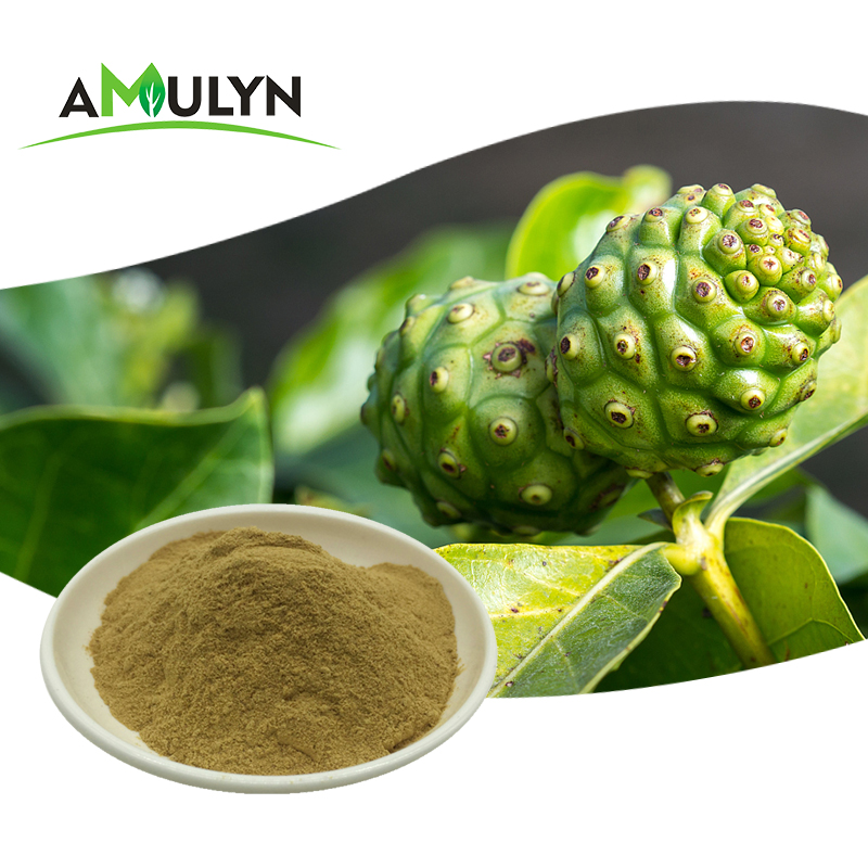 Morinda Citrifolia ผงน้ำผลไม้ Noni สูง