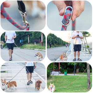 Grenz überschreitende neue reflektierende runde Nylon-Hunde leine mit Band dekoration Solid Pet Walking Supplies Großhandel auf Lager - Product Image 3
