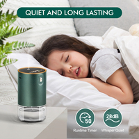 Pour SCENTCARES personnalisé Mini nébuliseur électrique diffuseur Portable sans eau parfum voiture sans fil maison parfum d'air pour le ménage