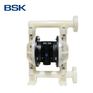 BSK custom 1" PVDF pneumatic transmission diaphragm pump for material handling