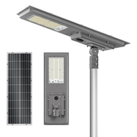 Fabricante Profesional, Lámpara Solar para Calle Todo en Uno, 50W 60W, OEM Personalizado, IP66, Luz Blanca Cálida, para Patio y Jardín