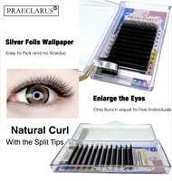 Extensions de cils en gros 0.07W, courbure C, D, DD, logo personnalisé accepté, volume W Lash