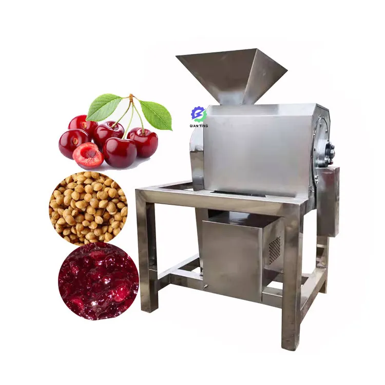 Hot selling multifunctional automatic cherry red bayberry pulp and seed separator machine with cheap price