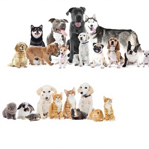 Alfombrilla de Ratón Personalizada con Estampado de Anime de Gatos y Perros, 9.5x7.9 Pulgadas, Base de Goma Antideslizante Lavable con Textura Premium para el Hogar, Oficina y Juegos - Product Image 2