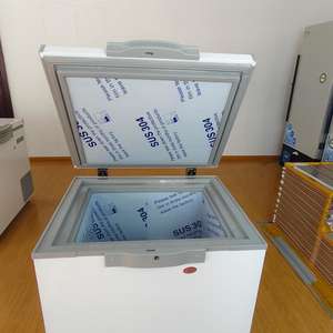 108L ~ 300 Lコンパクトディープチェストフリーザーホーム小型インバーター冷凍庫 - Product Image 3