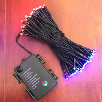 Guirlande lumineuse LED de Noël alimentée par piles 3AA, étanche, pour extérieur/intérieur, ligne verte encre, guirlande lumineuse décorative