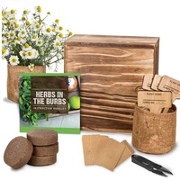 Kit de démarrage pour jardin d'herbes SOL, écologique, en tissu kaki, ensemble de plantation de bonsaï moderne pour la maison, cadeau, logo personnalisé pour la vente en gros de matériel de jardinage