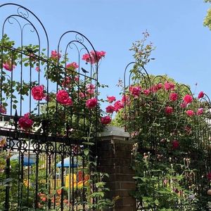 Roses grimpantes, clematis, clôtures de jardin, supports à fleurs d'extérieur, poteaux de soutien, plantes en fer forgé, grimpantes et magnifiques - Product Image 4